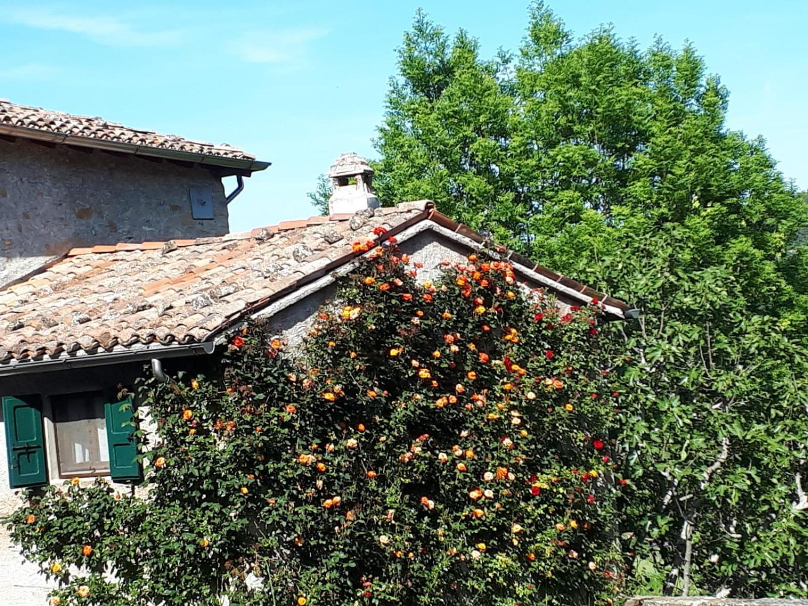 La Corte Bonomini Acomodação com café da manhã Neviano degli Arduini Exterior foto