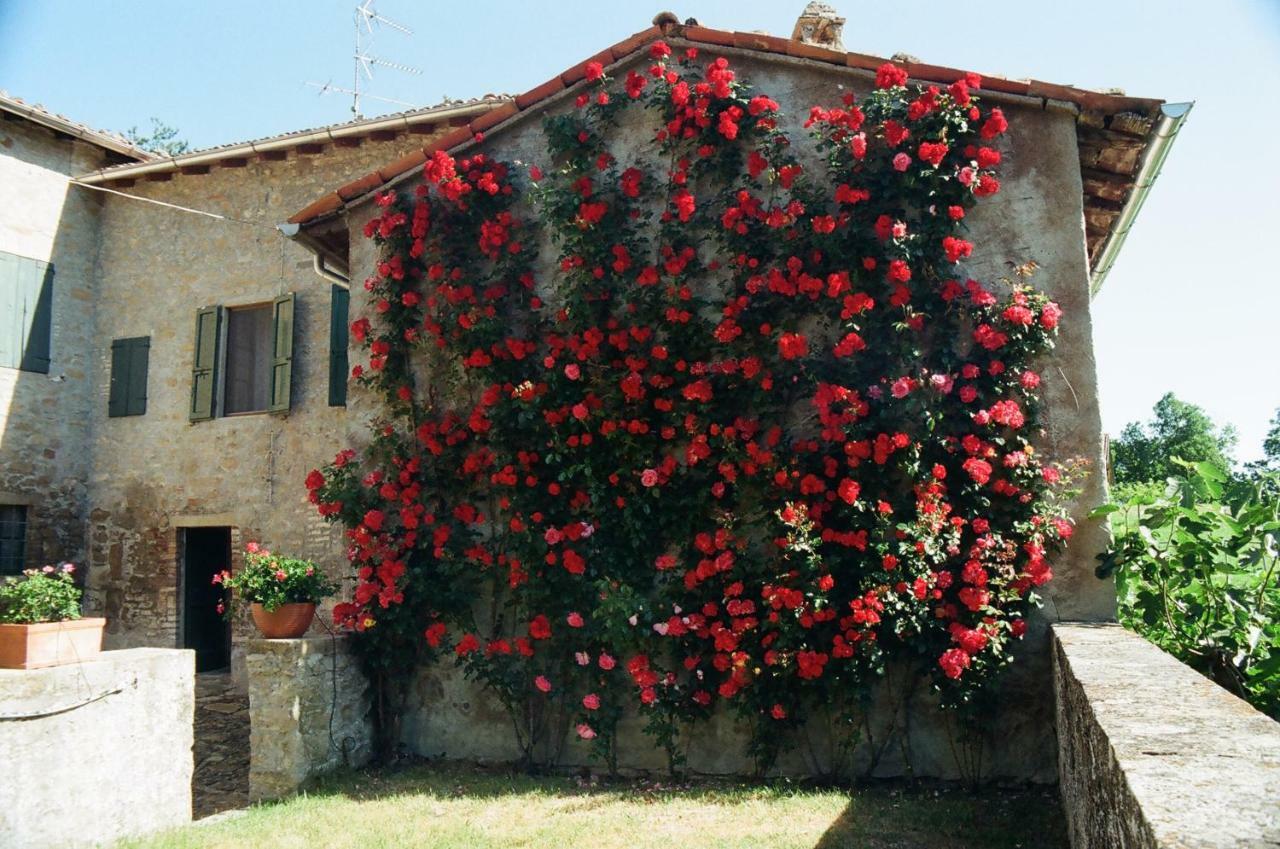 La Corte Bonomini Acomodação com café da manhã Neviano degli Arduini Exterior foto